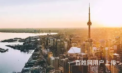 2025美国人才移民政策收紧？移民内参网助您稳获批 - 图片 2