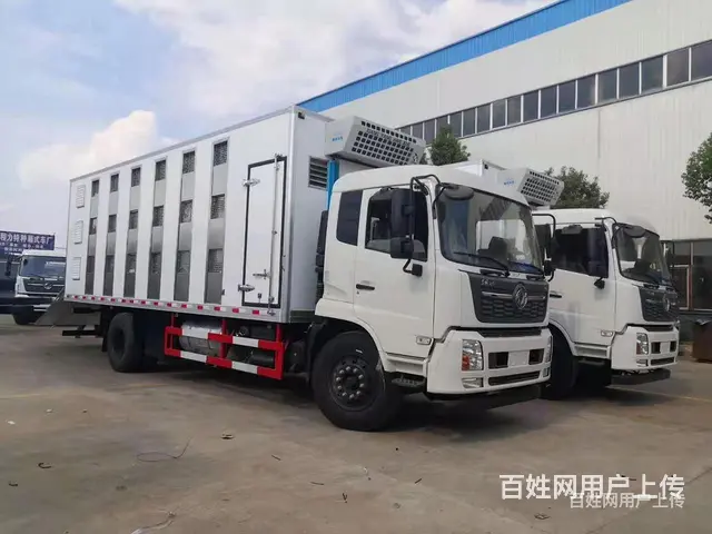 赤峰东风单桥畜禽车铝合金运猪车生产企业运猪车厂家运猪车多少钱 - 图片 11