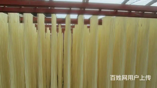 彩色面条培训哪家强？鲜面条做法哪里教学 - 图片 1