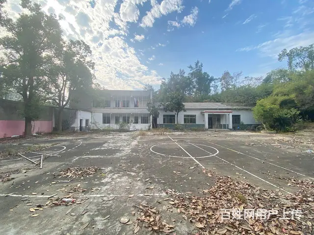 (房东直租)白箬铺319国道占地6亩场地，学校，可随时改厂房 - 图片 6
