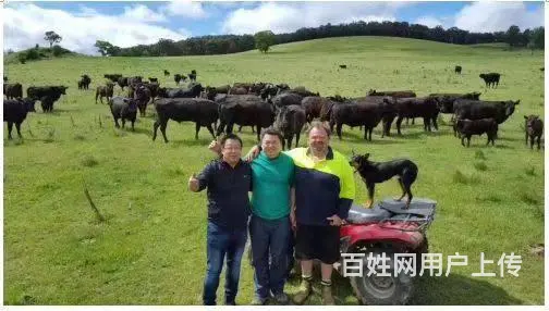 出国劳务-合法工签-不成功不收费-境外雇主直招 - 图片 4