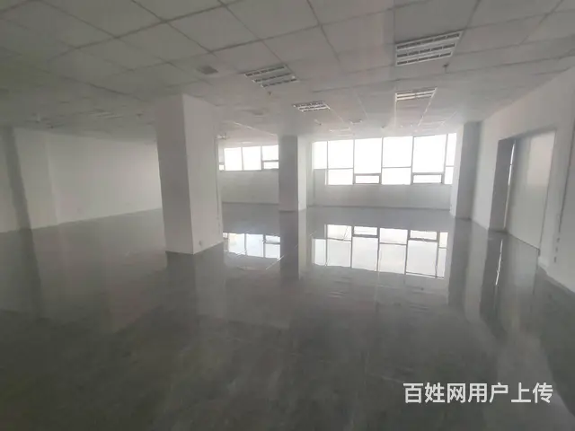 和平丨领事馆对面丨277平纯写丨12万含物业丨富中 南市场 - 图片 9