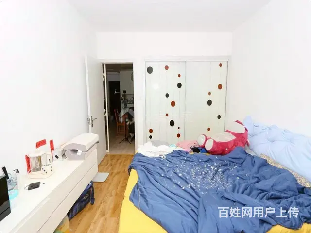 江南实验两房朝南双阳台 采光好地段繁华 诚心出售价格可谈 - 图片 7
