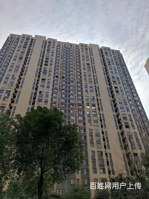 4号线园林路地铁口精装1室1厅1卫 金地广场旁近武 - 图片 9