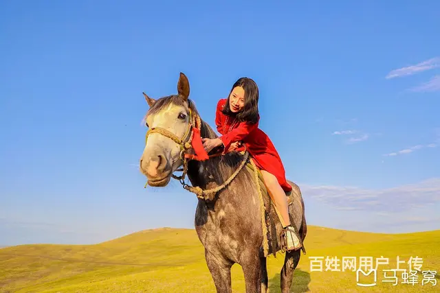 呼伦贝尔旅游巴特尔租车包车 - 图片 1
