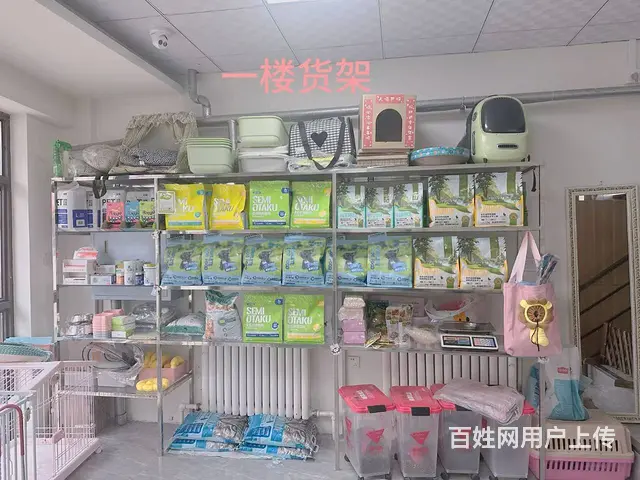 宠物店出兑 店铺转让 - 图片 4