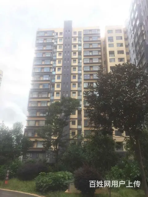星耀地铁旁 星泽园2房精装修 明厨明卫 带车位 有 - 图片 12