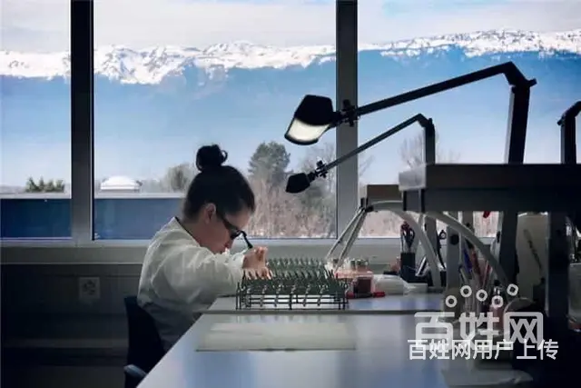 上海格拉苏蒂手表维修流程 - 图片 2