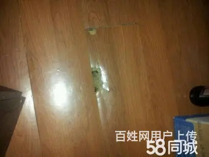 成都木地板维修 安装 销售 - 图片 6