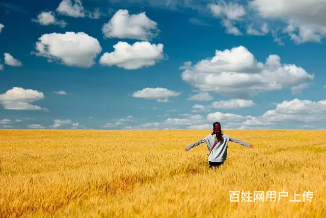 呼伦贝尔旅游包车师傅排名穿越草原户外品质包车 - 图片 3