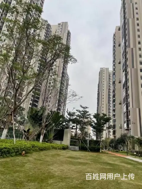 芒果社   紫园片区电梯2房 - 图片 10