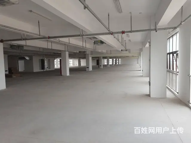 标准化厂房出租，单层3000平可分割，共4层有电梯，有消防 - 图片 3