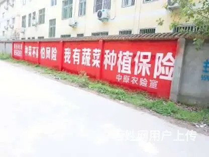 金昌墙体广告 黄南户外刷墙广告 博尔塔拉彩绘墙画 - 图片 1
