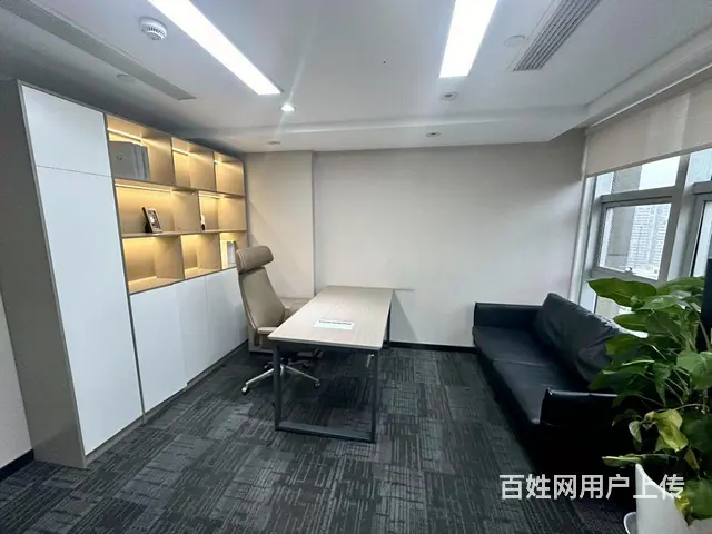 地铁口中豪望江 绿地商业  豪装带家具  300方得房率超高 - 图片 10