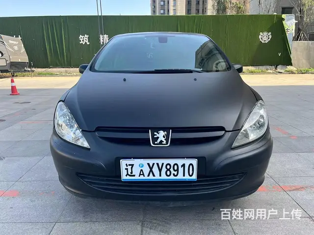 标志307 - 图片 1