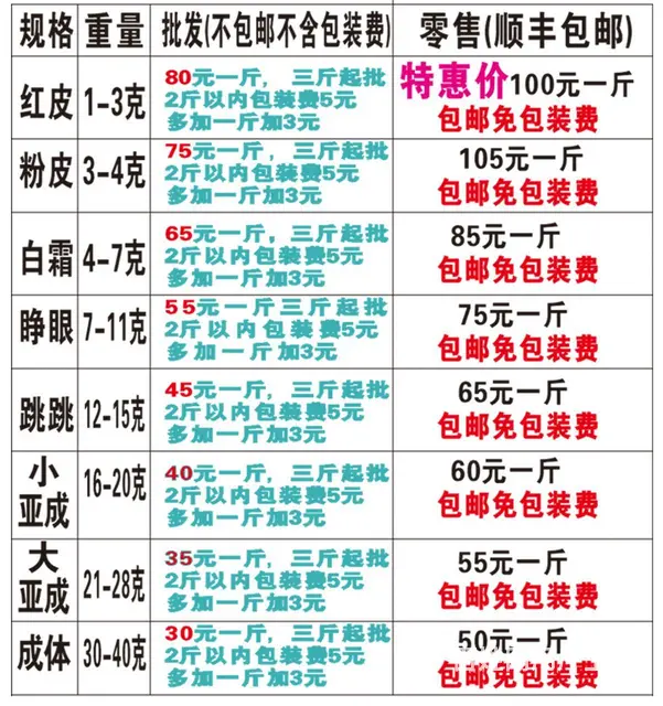 出售自家繁殖小白鼠红皮粉皮乳鼠 - 图片 2