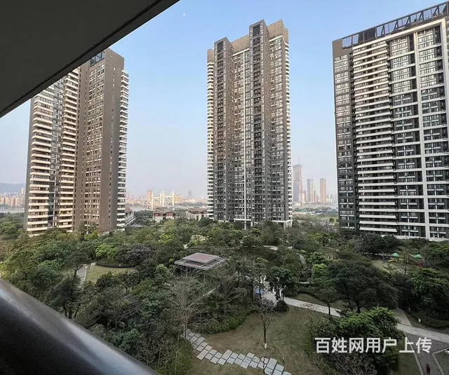 南湾区 华发商都旁 中信红树湾二期 住宅 1房 有阳台厨房 - 图片 7