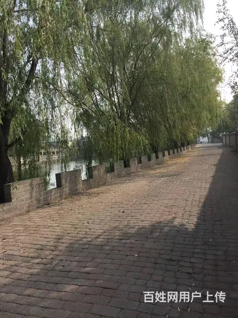 出租王屯村厂房库房 - 图片 2