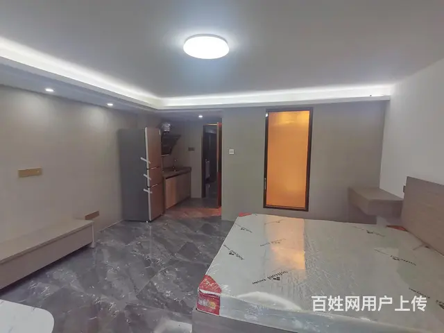 五缘湾运动馆 旁万隆国际精装一房一厅多套附近白领上班步行即可 - 图片 9
