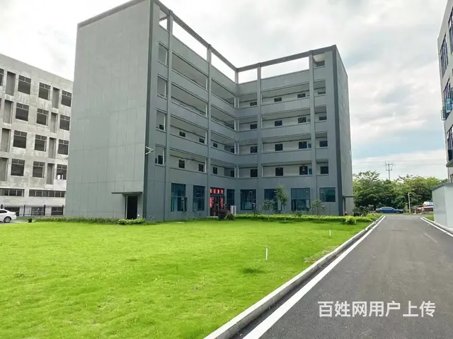 （老板本人）望城新建标准独栋厂房优价出租（可分租） - 图片 7