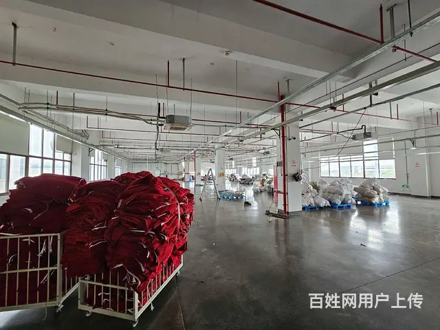 大义单层5800平和2800平方，可分租，有行车，可环评 - 图片 6