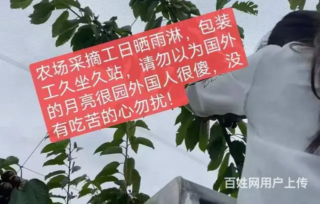 A常州出国安全发达国家，工签务工年入40万 - 图片 7