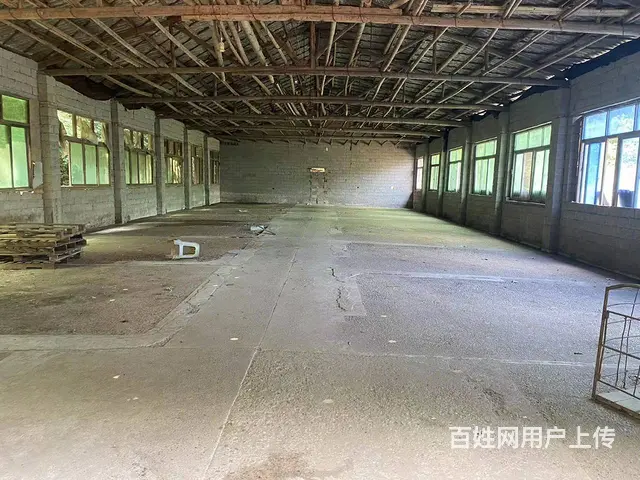 （房东直租）金洲大道380➕300平米两栋厂房带1000空地 - 图片 6