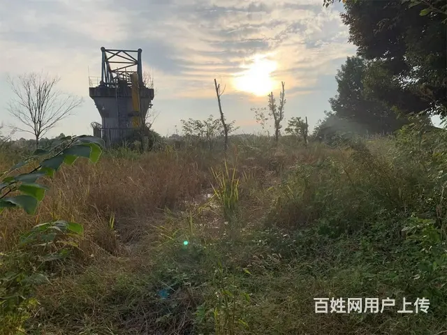 广汉西高镇5亩土地+库房出租 - 图片 3