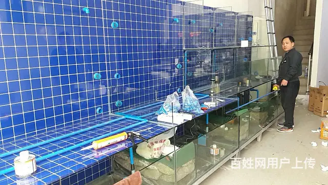 定做海鲜缸 - 图片 7