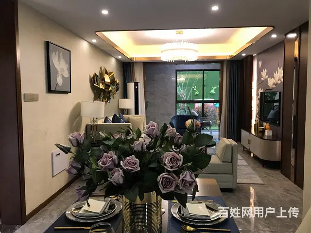 特批楼层随选！城东国健长江院子奥康街江海城市广场 全中边 - 图片 5