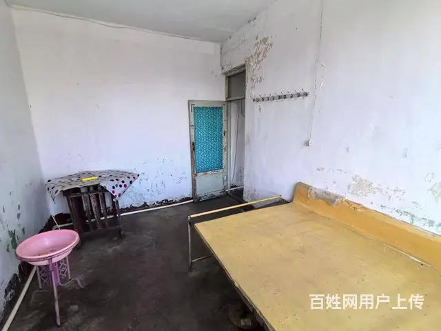 南山新建街 - 图片 9