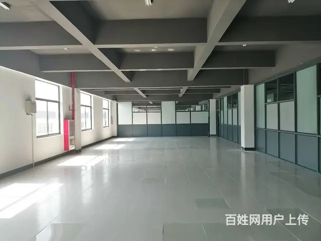 张浦镇港浦中路156号淞南科技园标准联合办公区/小型办公室出 - 图片 9