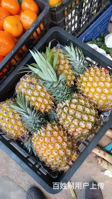 水果供应成都水果批发市场全品类水果新鲜配送上门 - 图片 2