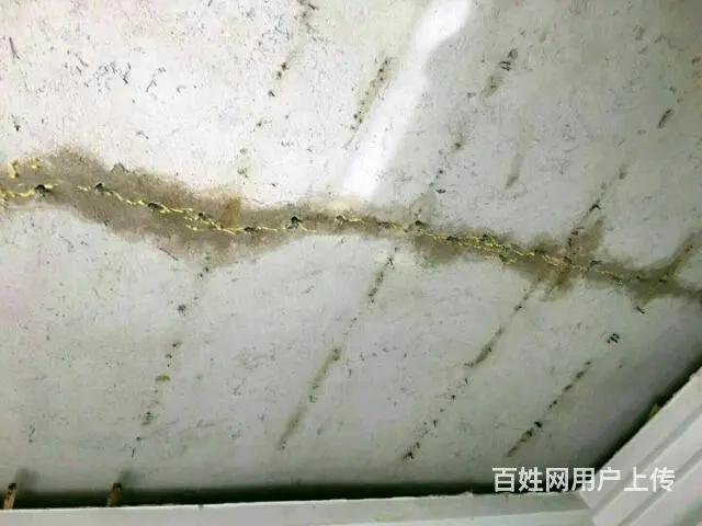 兴易隆防水补漏，SBS卷材防水，外墙防水补漏，高压注浆堵漏 - 图片 6