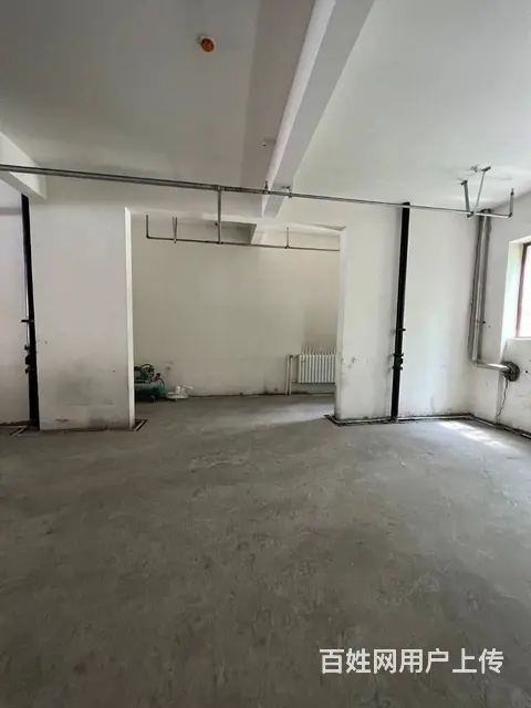 【搞定了！】道里区群力四方台大道桐楠格门市出租房主直租 - 图片 8