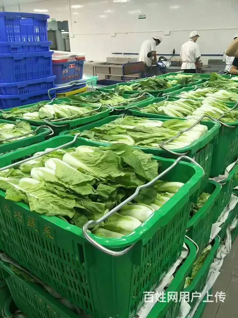蔬菜配送找禾厨公司、食堂承包、生鲜蔬菜配送等 - 图片 3