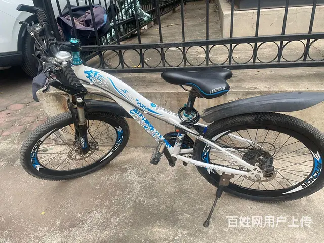 飞鸽自行车 - 图片 3