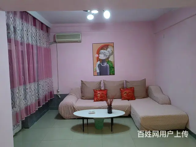 珠江盘龙三期，电梯10楼，65平，一室一厅一厨一卫家电齐全 - 图片 3