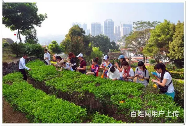 天晟茶艺培训学校学费多少钱? - 图片 6