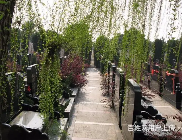 乌鲁木齐米泉市北郊公墓,提供咨询、购墓、一条龙服务 - 图片 5
