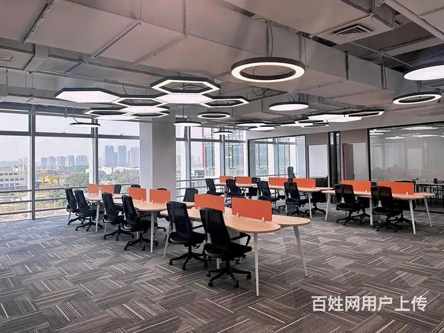 4号线新造站 大学城智慧谷 155至2000平可选 - 图片 4