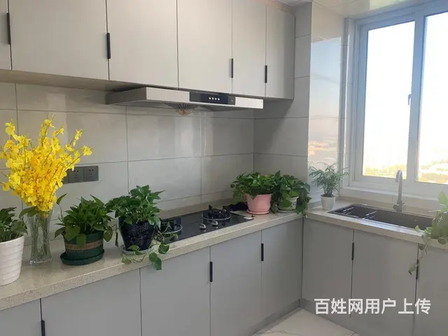 五洲国际，全新装修未住过，周边配套齐全楼层好采光好 - 图片 5