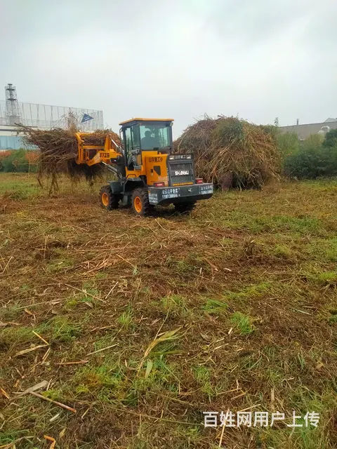 专业厂区别墅庭院绿化设计施工移树砍树伐树修树等 - 图片 2