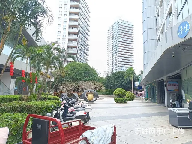（51旺铺推荐）半山半岛100平带烟照烟草超市转让 - 图片 5