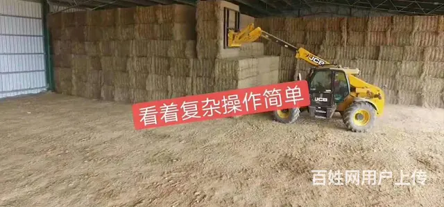 常州出国务工，正规工签项目，诚招普工技工 - 图片 1