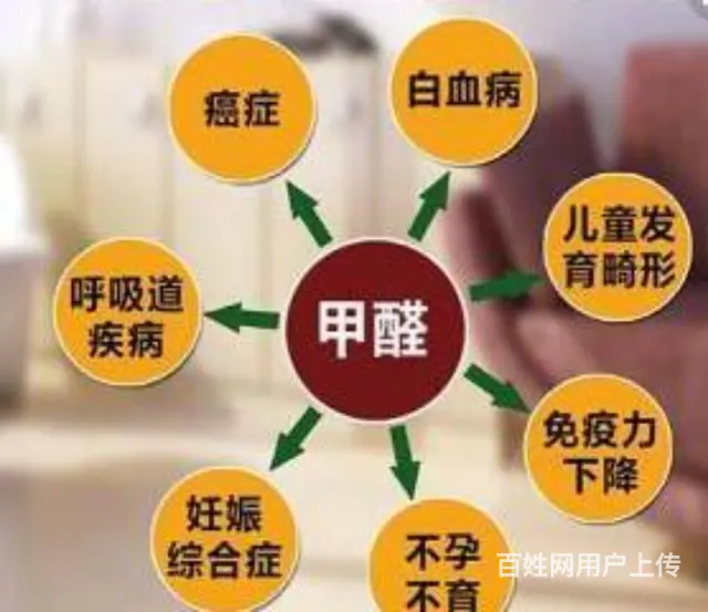 厦门鹭岛浔阳健康环保专业治理甲醛 - 图片 5
