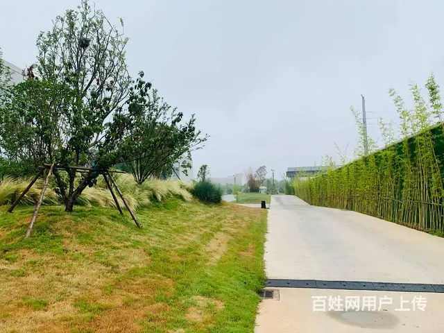 洛北地标！新一高旁交通方便！可放心咨询，急售价优，政策扶持！ - 图片 4