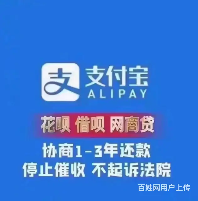 台州*支付宝逾期还款* - 图片 3