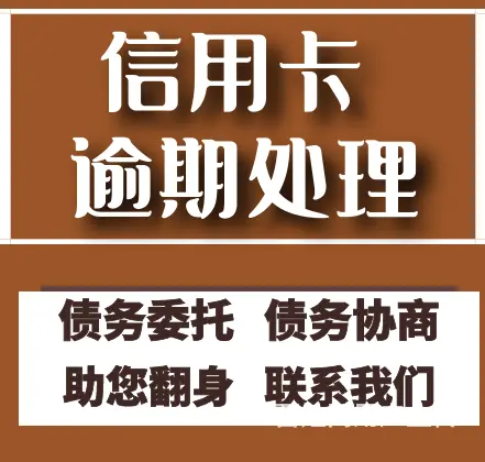 莱芜*花呗** - 图片 3