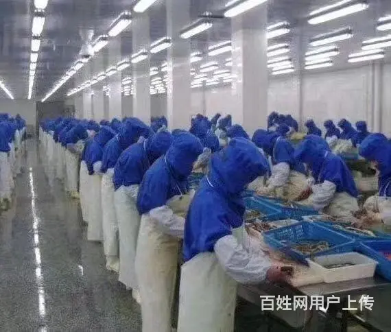 澳洲，加拿大，新西兰（工签）年薪40万以上 - 图片 3